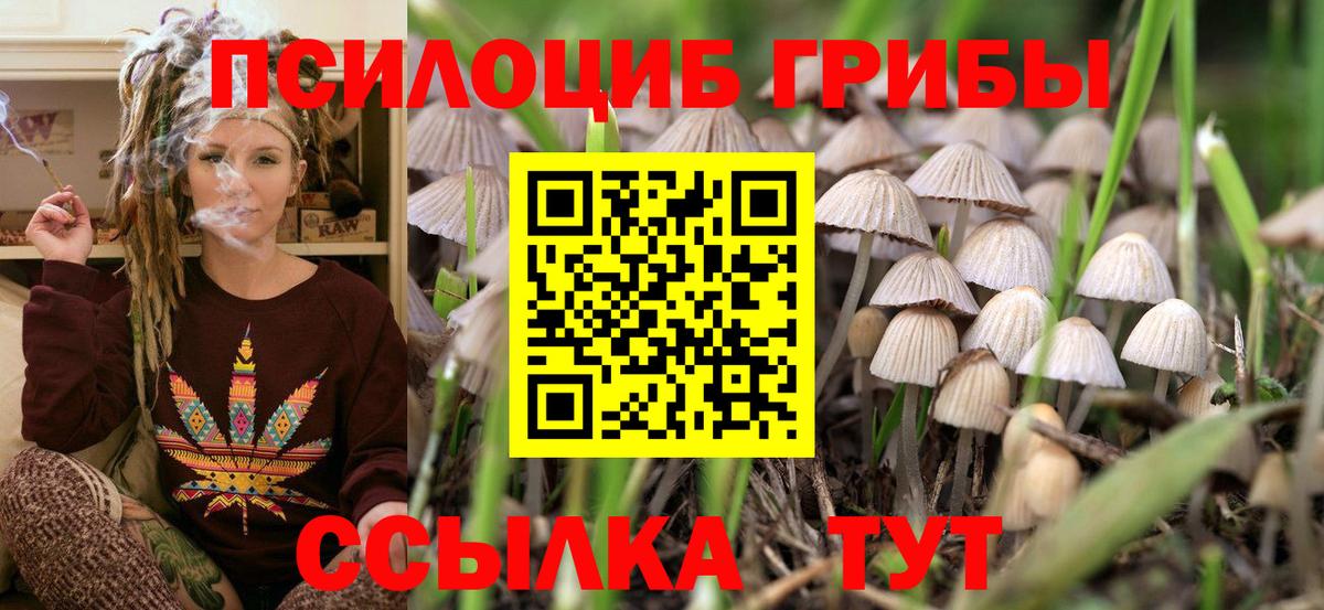 купить наркоту  Вход с VPN  Гусев  Галлюциногенные грибы ЛСД  Галлюциногенные грибы мицелий 
